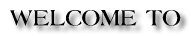 divorce lawyers florida